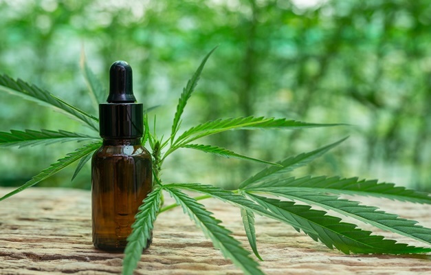 Câmara de Goiânia aprova criação de Centro Municipal de Tratamento com Cannabis Medicinal