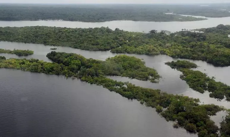 Desmatamento na Amazônia cai no 1º trimestre, enquanto no Cerrado avança