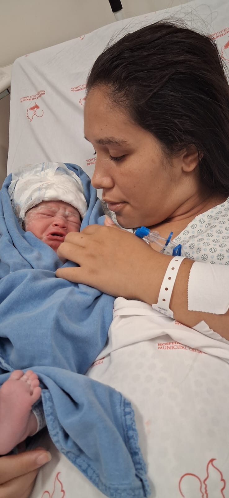 A vida renasce na Maternidade Célia Câmara