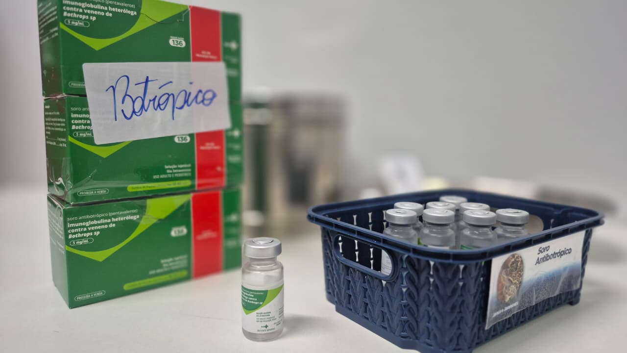 SES alerta para riscos e orienta sobre primeiros socorros em casos de picadas de cobra