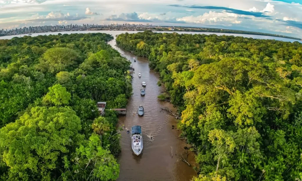 Plano de bioeconomia libera recursos e mira desenvolvimento sustentável na Amazônia