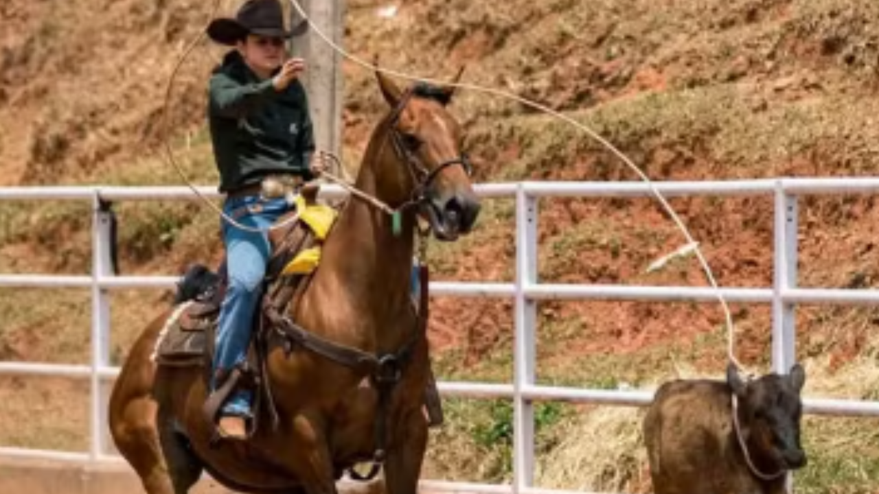 Goiana brilha nos EUA e consolida carreira no rodeio internacional