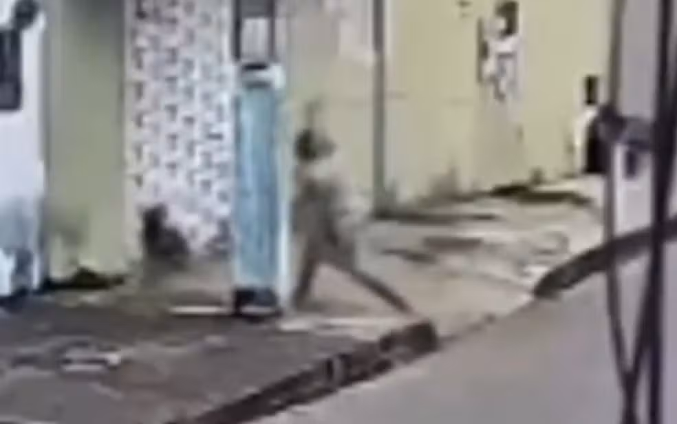 Cachorro comunitário é agredido com pedaço de pau em Nerópolis (GO)
