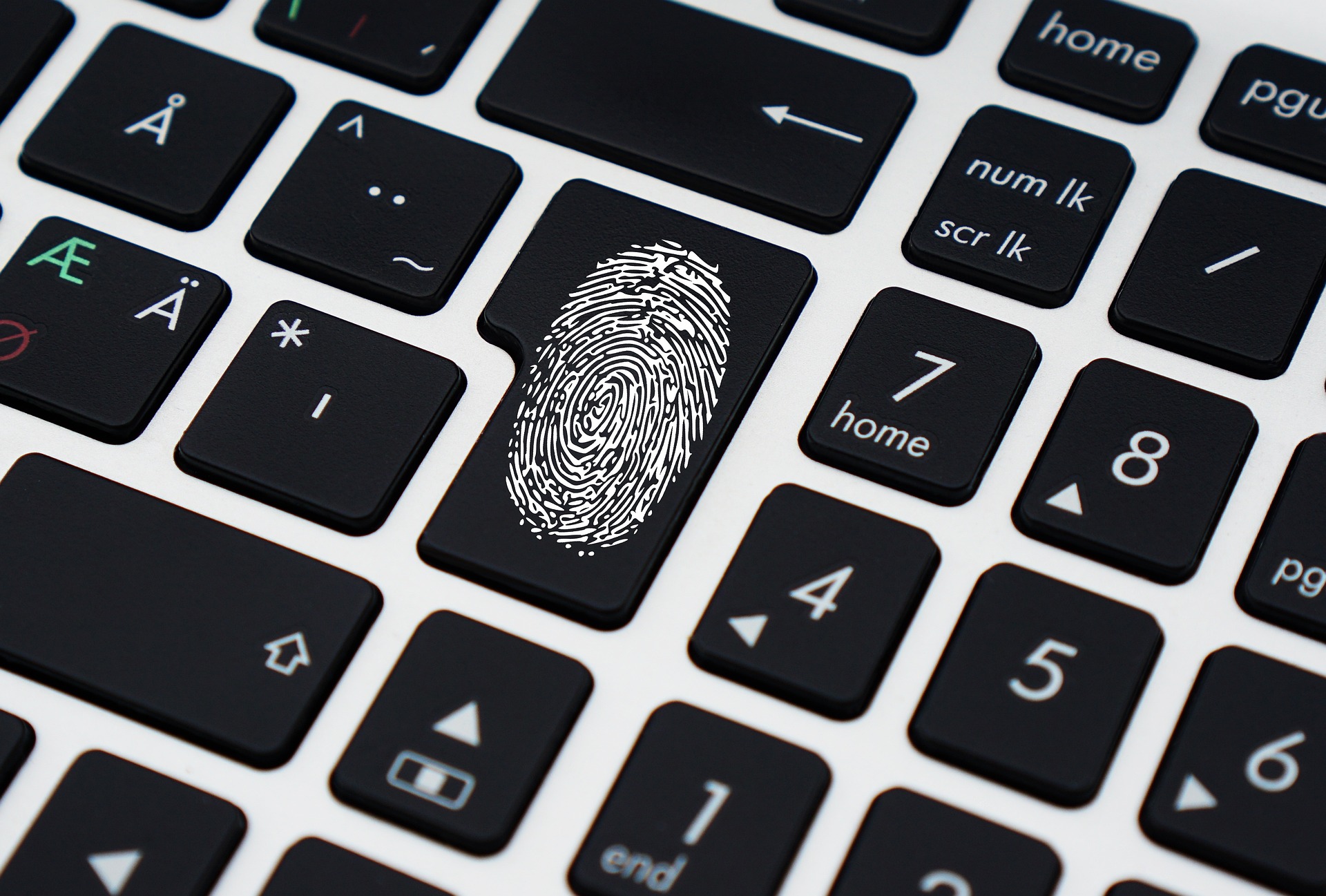 Diferenças entre e-CPF e e-CNPJ e Como Fazer a Emissão