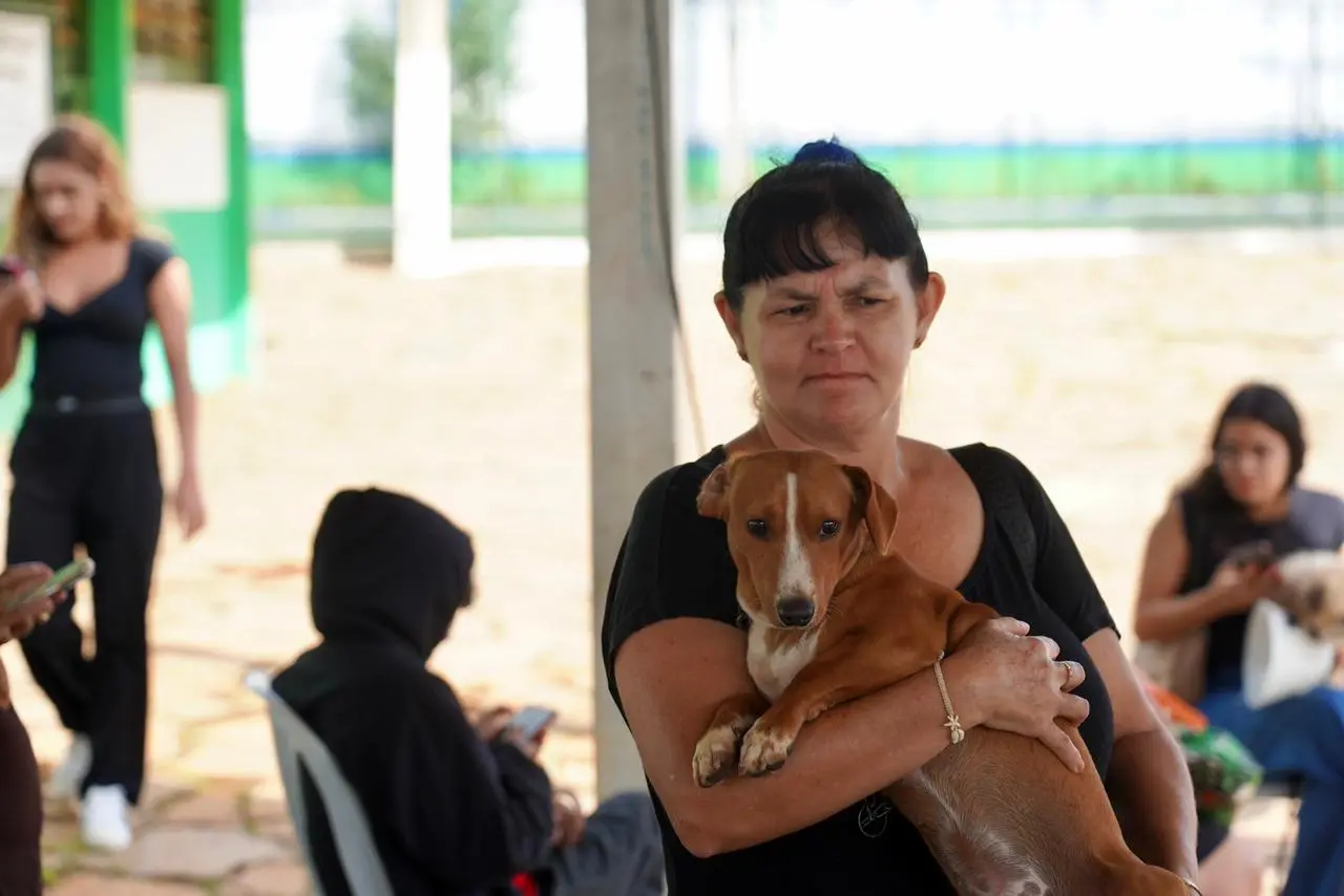 Castramóvel atende cães e gatos gratuitamente em Goiás; saiba quando e onde participar