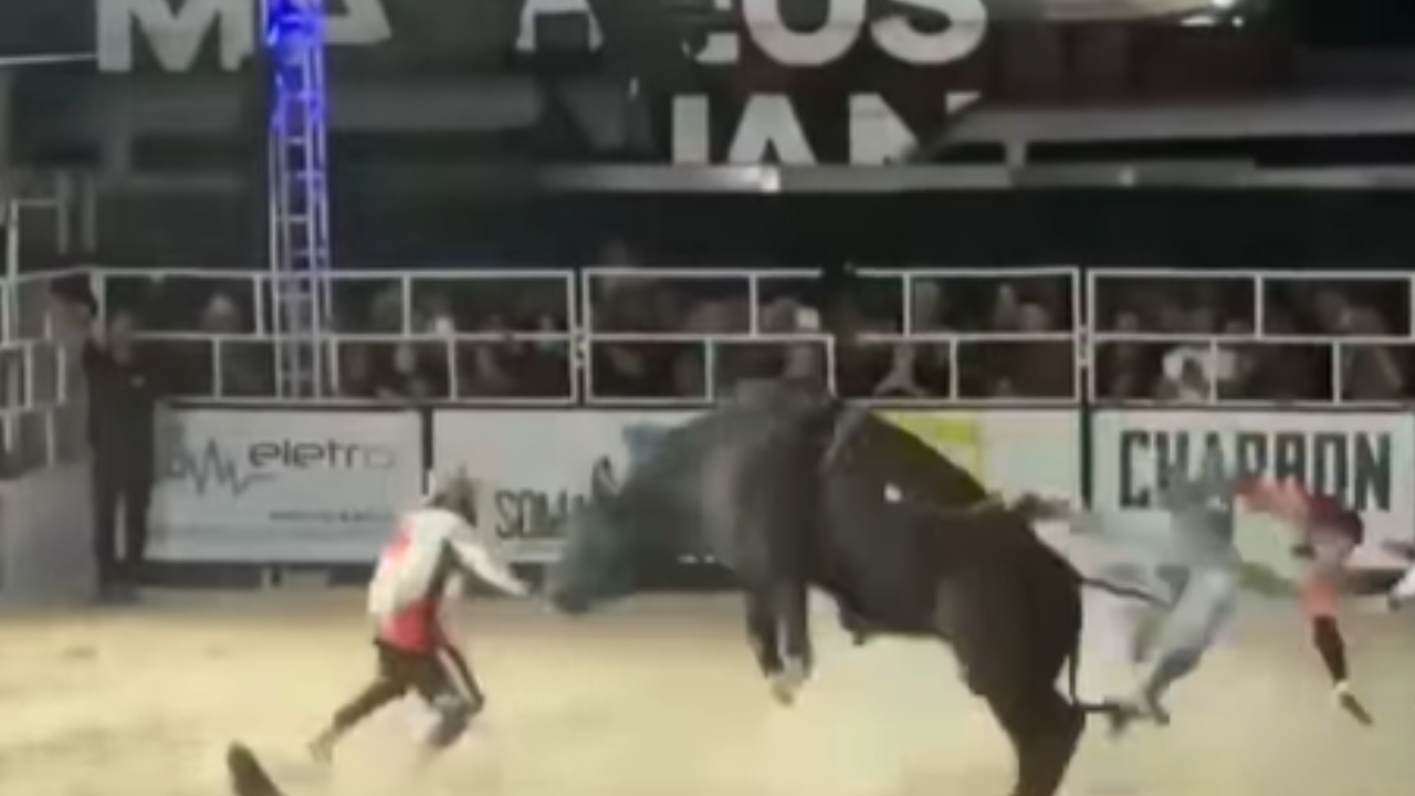 Touro arrasta participante em arena e cena causa pânico durante concurso; veja vídeo