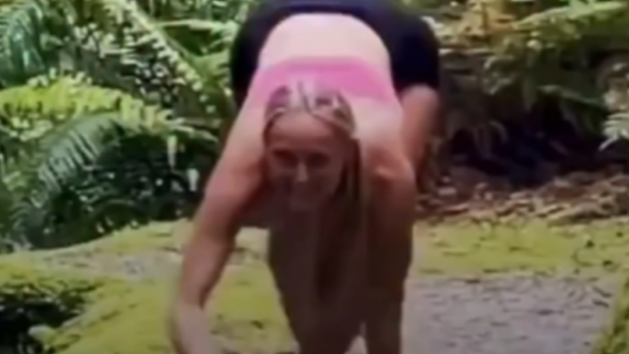 Vídeo: Treino animal ganha espaço nas redes e desperta interesse no mundo fitness