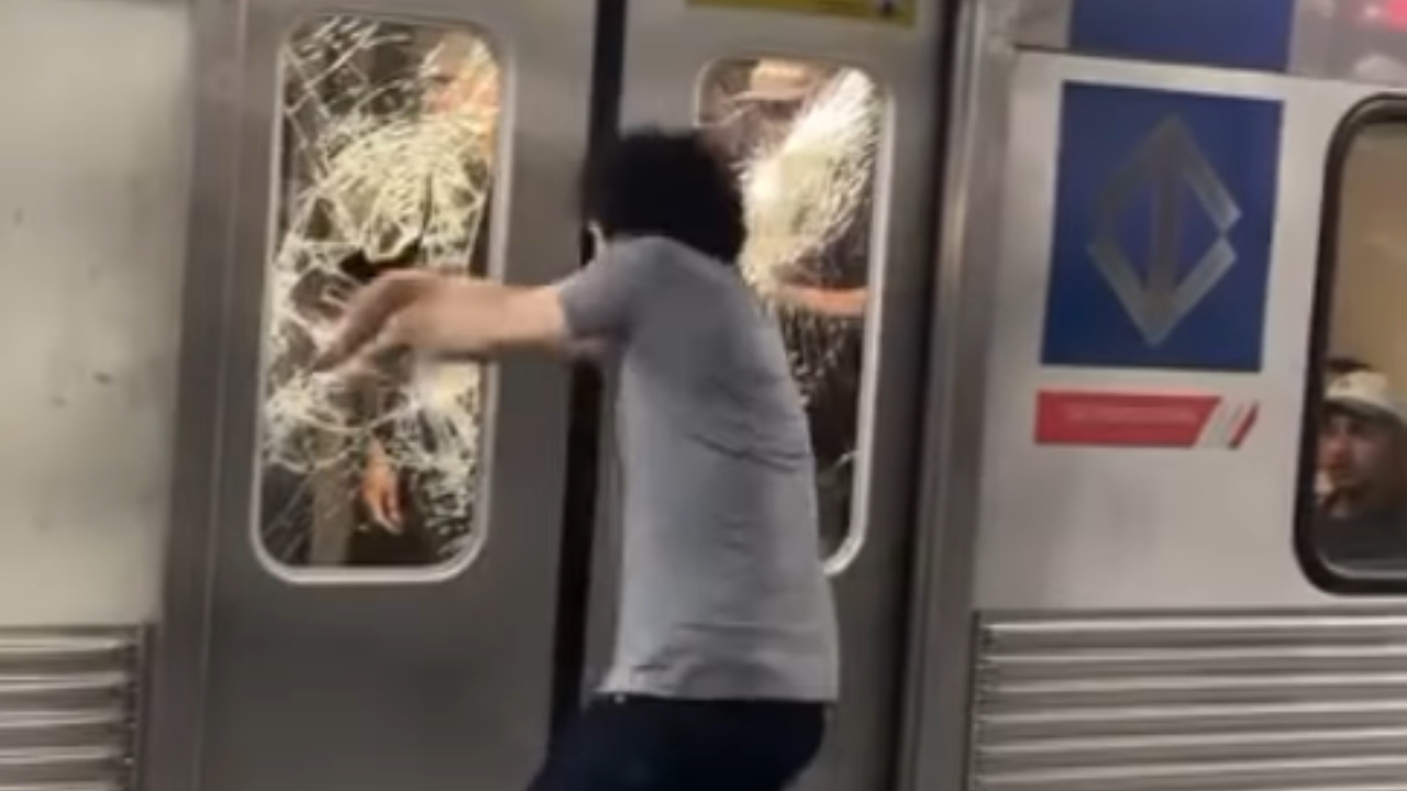 Vídeo: Passageiro quebra vidros de trem e causa transtornos em linha do metrô