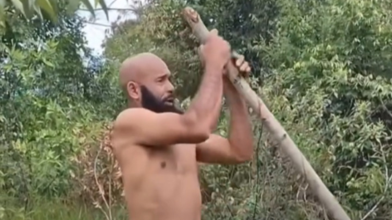 Homem faz equilíbrio no topo de tronco fino em cena que impressiona; veja vídeo
