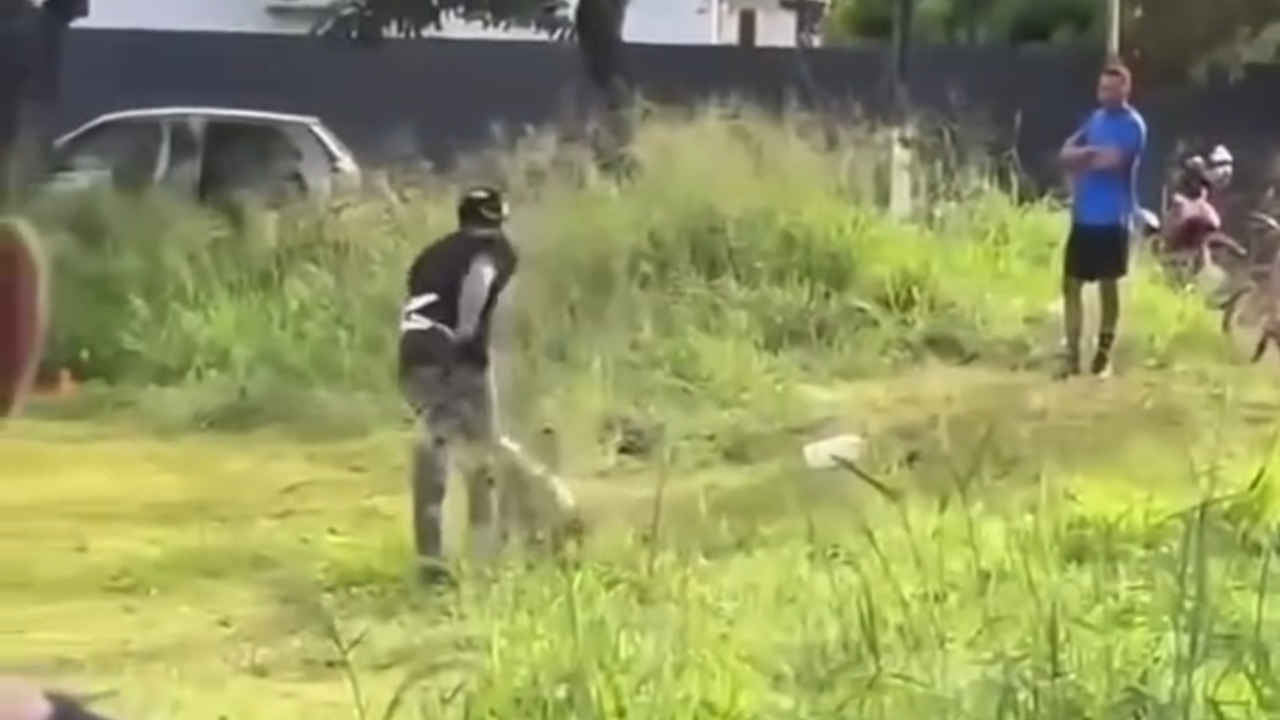 Mulher é agredida por homem em via pública e populares intervêm; veja vídeo