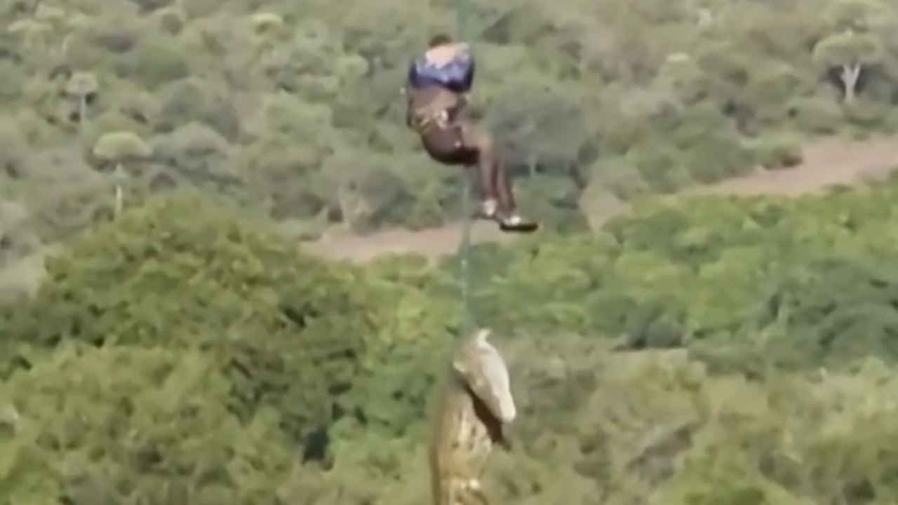 Vídeo: Policial é içado por helicóptero com crocodilo que teria atacado homem desaparecido