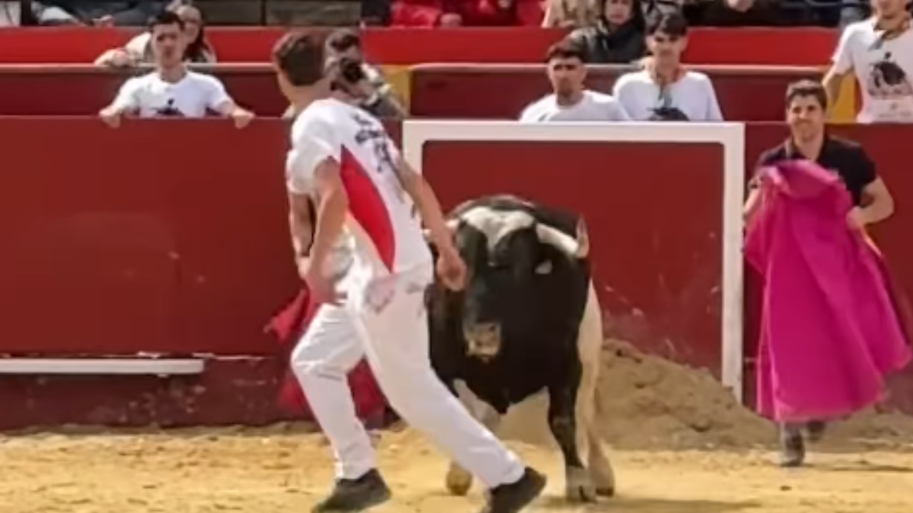 Vídeo: Após ferimento, toureiro retorna à arena e domina competição
