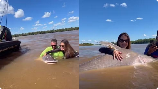 Casal de dentistas fisga peixe gigante de 2,24 metros no Rio Araguaia