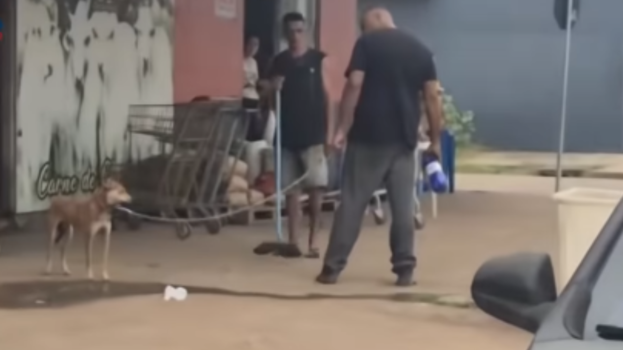 Homem é identificado após vídeo de agressão a cachorro causar revolta nas redes; assista ao vídeo