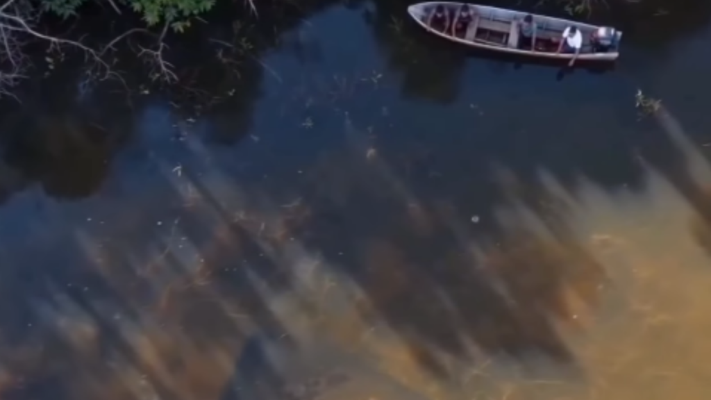 Vídeo: Arraia gigante surpreende com imagens aéreas em afluente do Rio Araguaia
