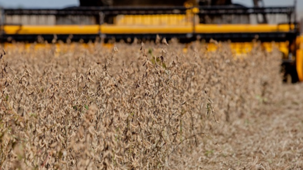 Crise no campo leva Justiça a suspender dívidas de R$ 59,6 milhões de produtores de Goiás