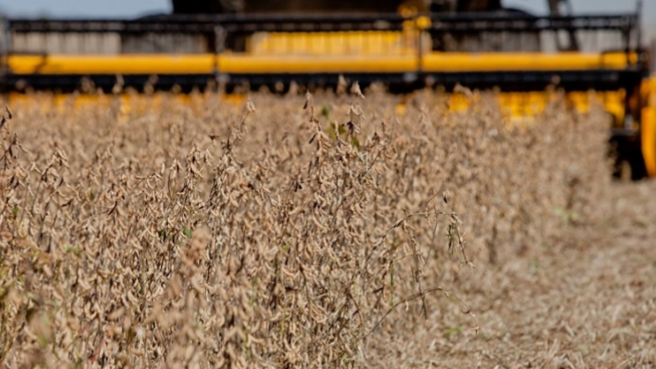 Crise no campo leva Justiça a suspender dívidas de R$ 59,6 milhões de produtores de Goiás