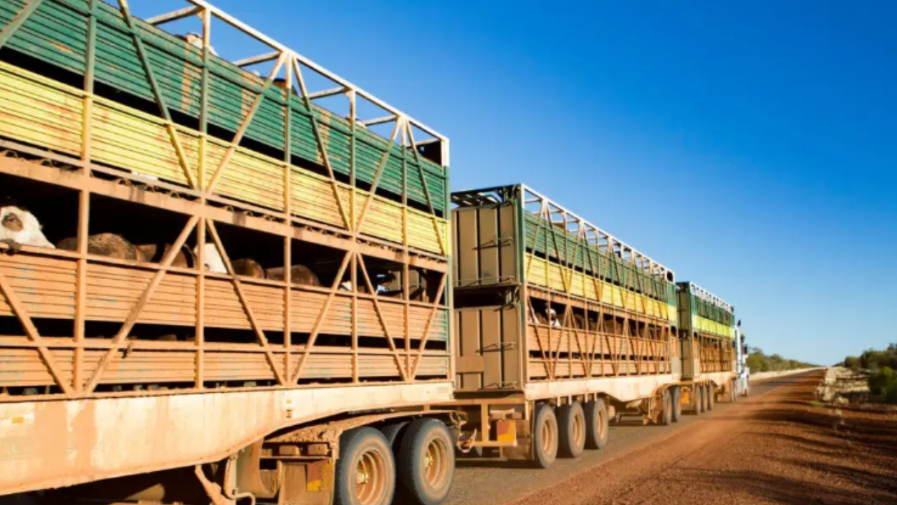 Goiás autoriza apresentação digital de guia para transporte de animais e elimina exigência de impressão