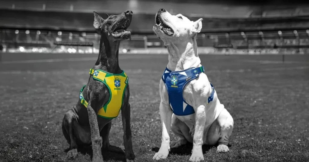 Pets entram em clima de Copa com nova linha oficial da Seleção Brasileira