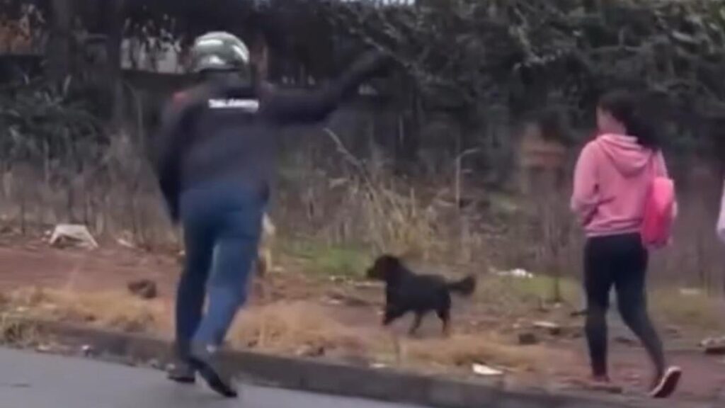 Motoqueiro atira pedra em cachorro e vídeo mobiliza autoridades; assista ao vídeo