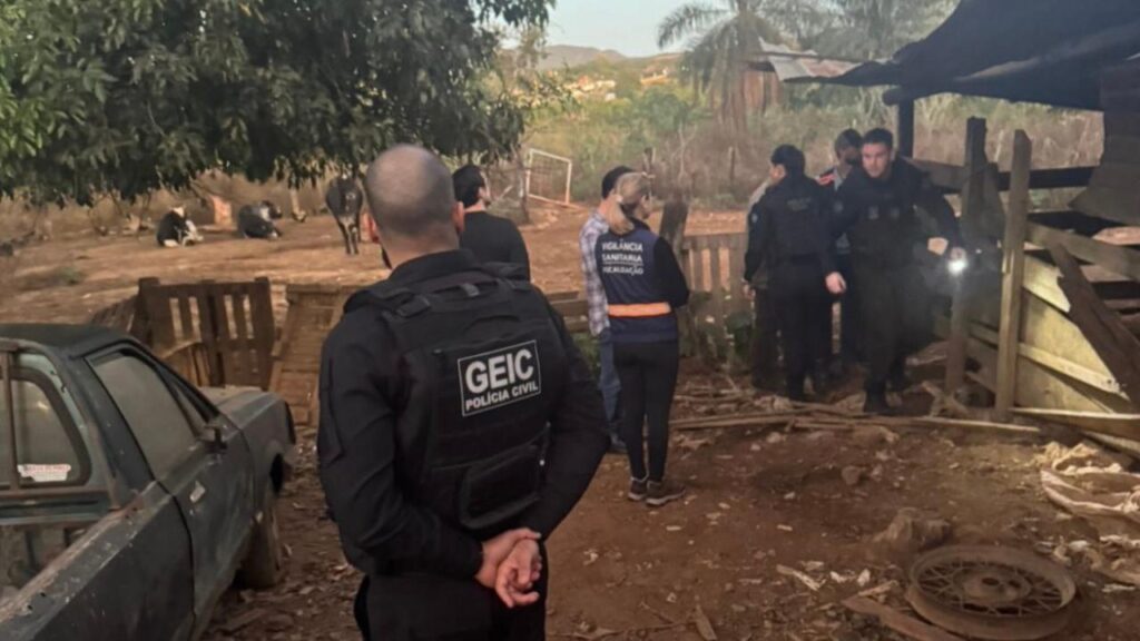Polícia Civil e Semad flagram abate clandestino de animais em Caldas Novas