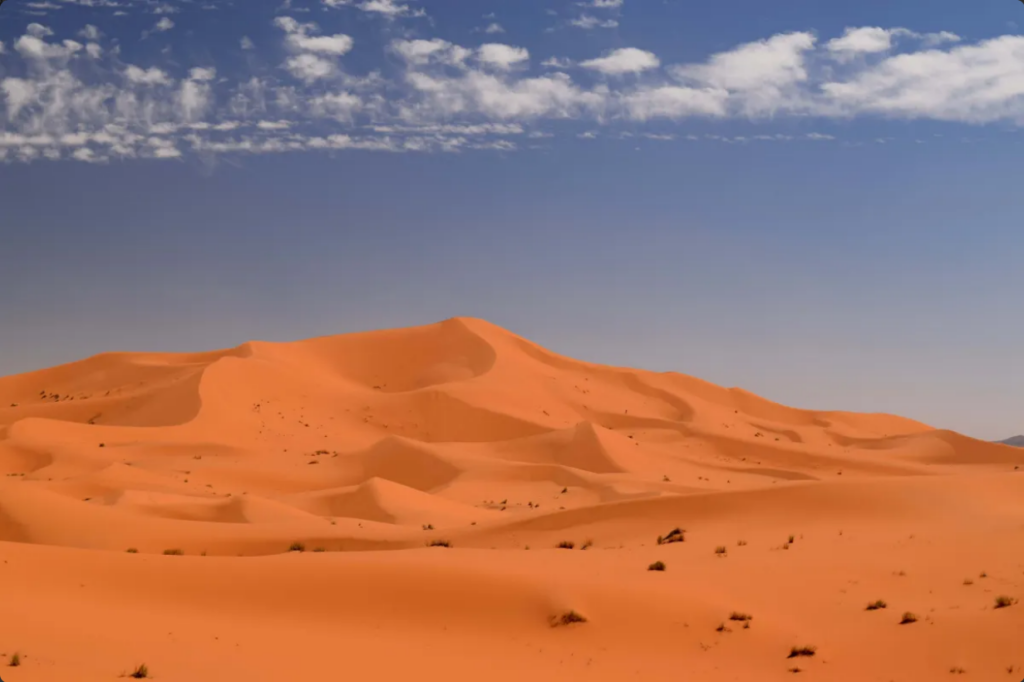 Dezenas de migrantes morrem de sede no deserto do Saara após caminhão quebrar