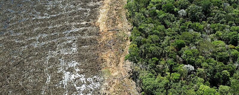 Brasil registra queda nos alertas de desmatamento na Amazônia e no Cerrado, diz Inpe