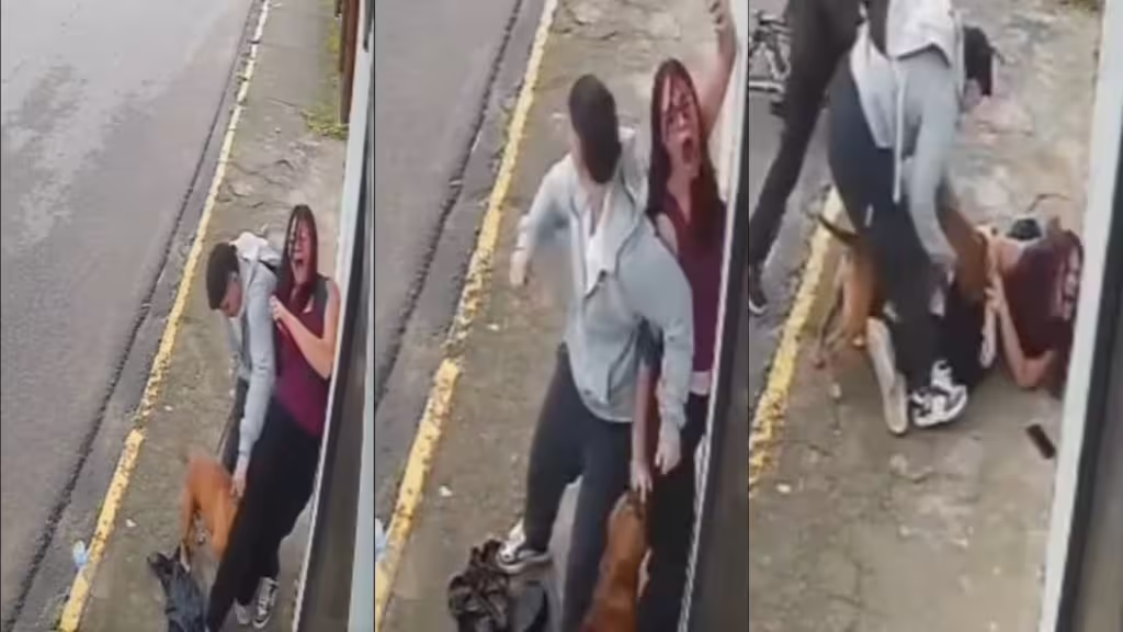 Vídeo: Pitbull ataca jovem de 20 anos próximo a escola
