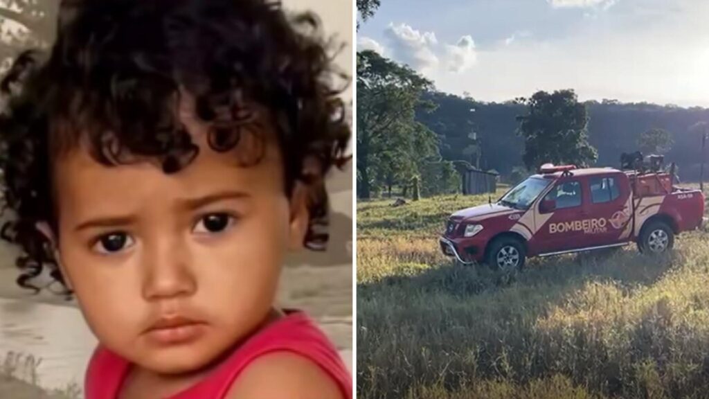 Bebê de 1 ano desaparece em mata fechada de fazenda em Doverlândia (GO)