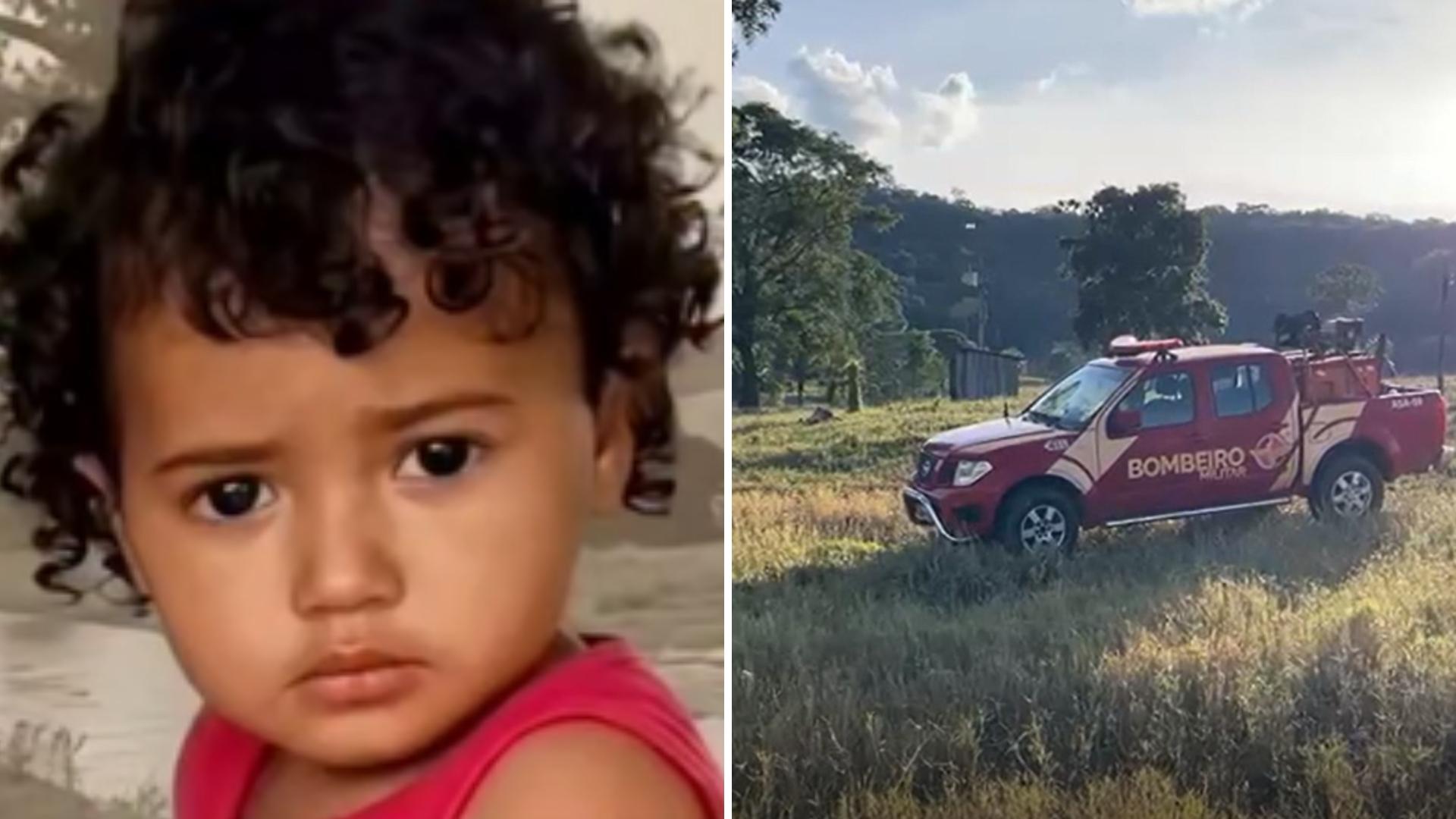 Bebê de 1 ano desaparece em mata fechada de fazenda em Doverlândia (GO)