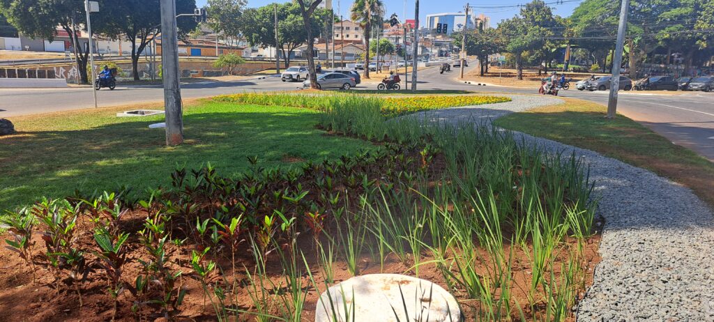 Projeto Florescer revitaliza rotatória do Cepal e reforça paisagismo em Goiânia