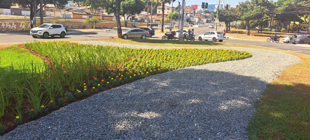 Projeto Florescer revitaliza rotatória do Cepal e reforça paisagismo em Goiânia