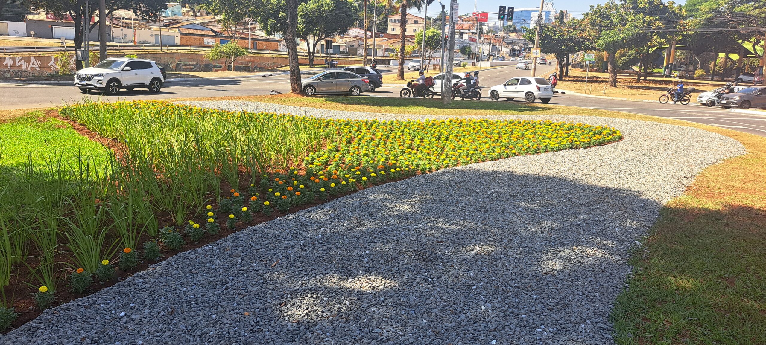 Projeto Florescer revitaliza rotatória do Cepal e reforça paisagismo em Goiânia