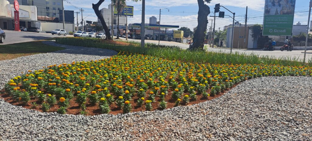 Projeto Florescer revitaliza rotatória do Cepal e reforça paisagismo em Goiânia