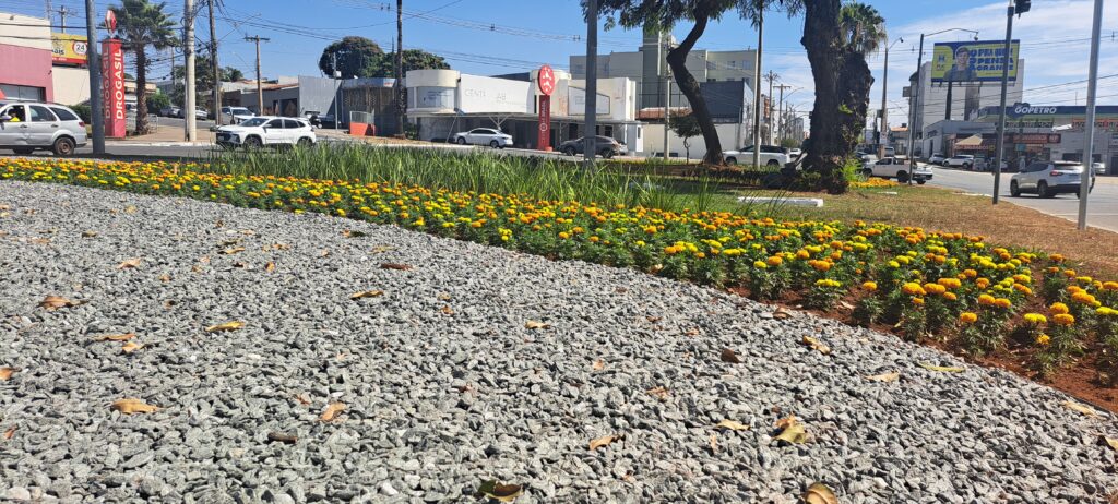 Projeto Florescer revitaliza rotatória do Cepal e reforça paisagismo em Goiânia