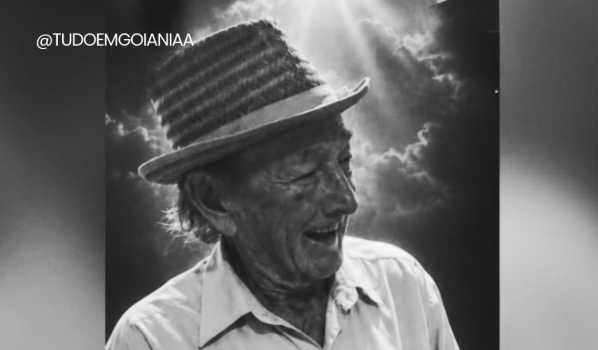 Idoso de 84 anos morre após sofrer mais de 2 mil picadas de abelhas em Aragoiânia