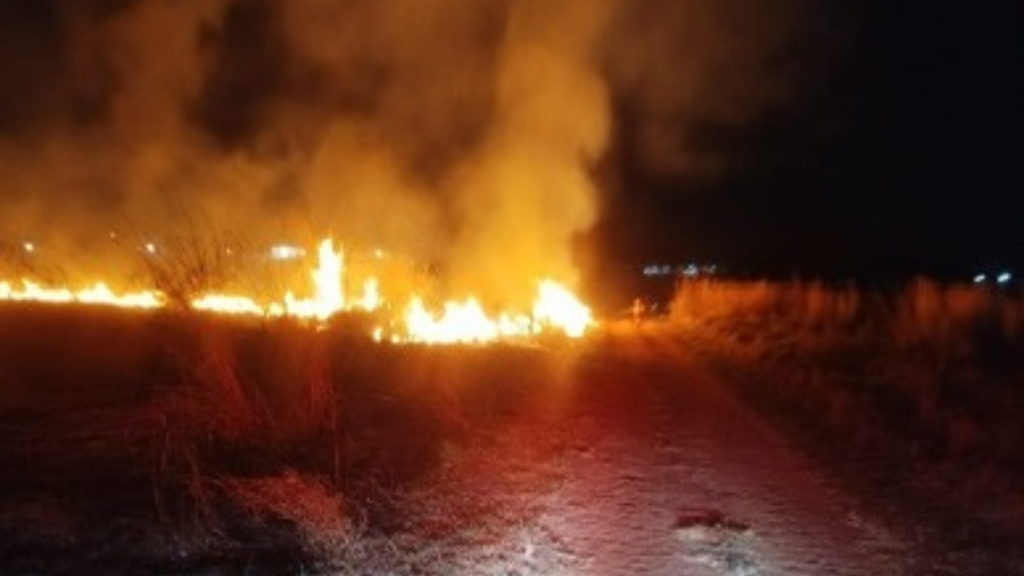 Incêndio de grandes proporções atinge área verde em Caldas Novas