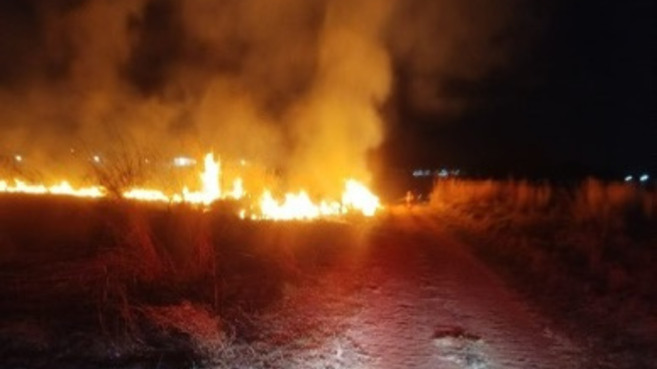 Incêndio de grandes proporções atinge área verde em Caldas Novas e mobiliza bombeiros