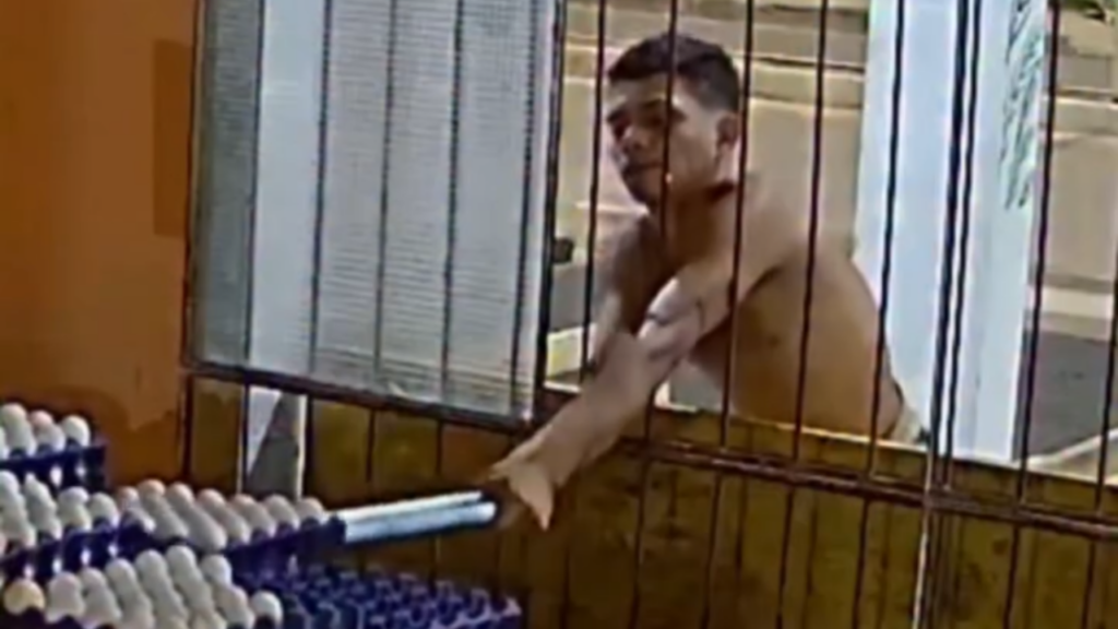 Vídeo: Homem usa cabo de vassoura para furtar cartelas de ovos em comércio