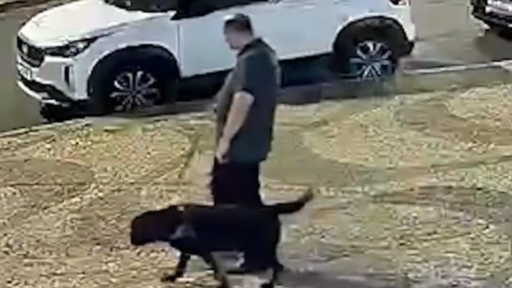 Câmeras flagram atropelamento de cego com cão-guia. Veja vídeo