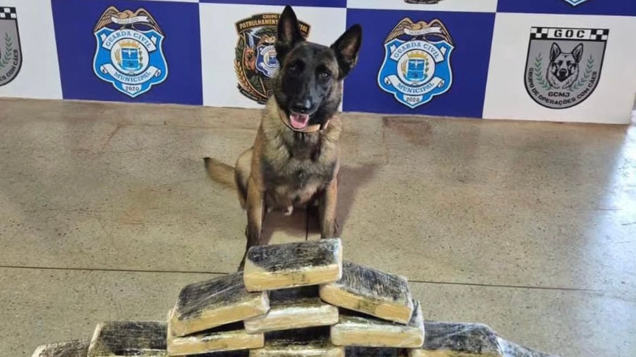 Mulher é presa com 20 kg de maconha em ônibus no terminal rodoviário de Jataí