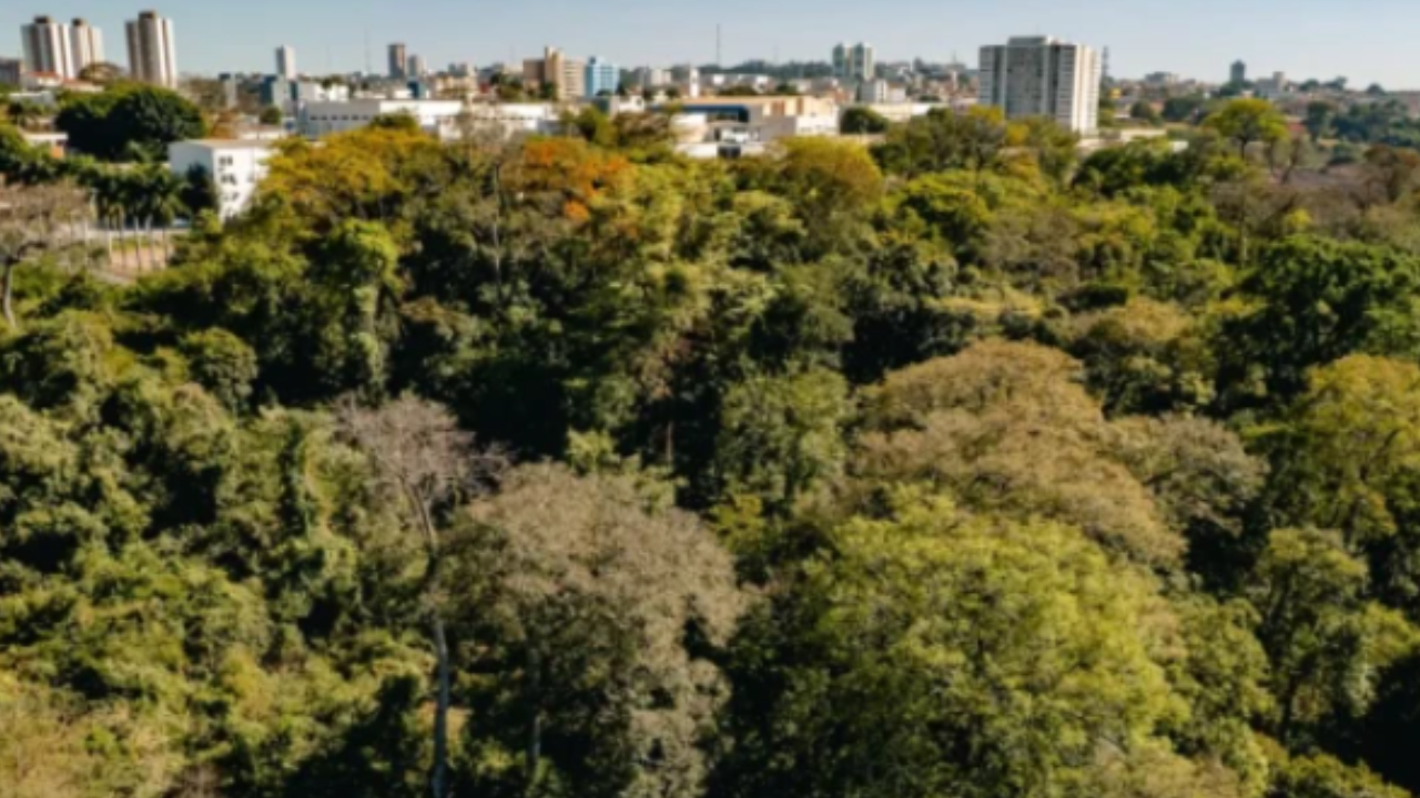 Anápolis lança plano de arborização e prevê plantio de mil árvores por ano
