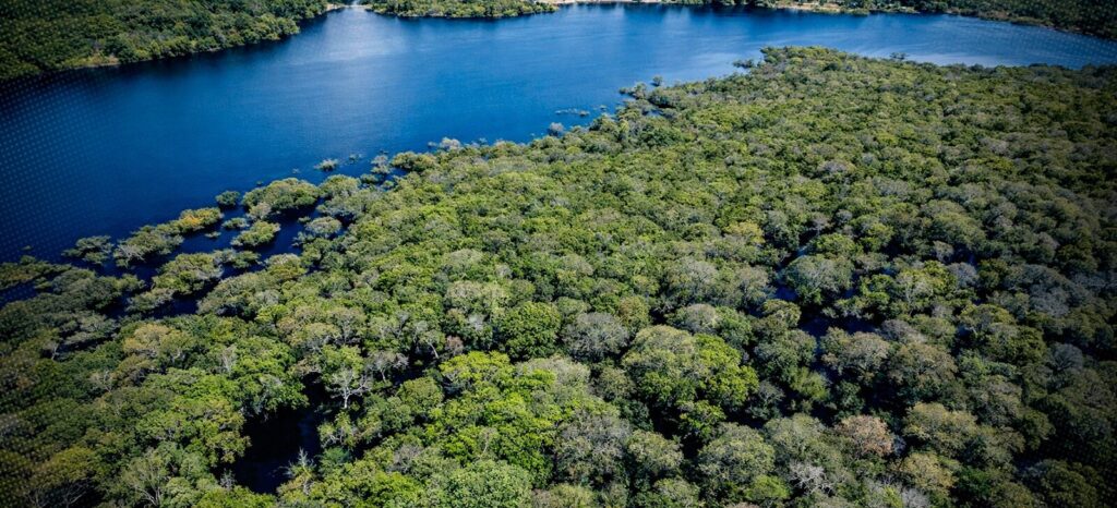 Amazônia registra menor desmatamento para o primeiro semestre desde 2016