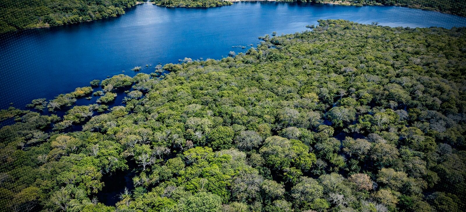 Amazônia registra menor desmatamento para o primeiro semestre desde 2016