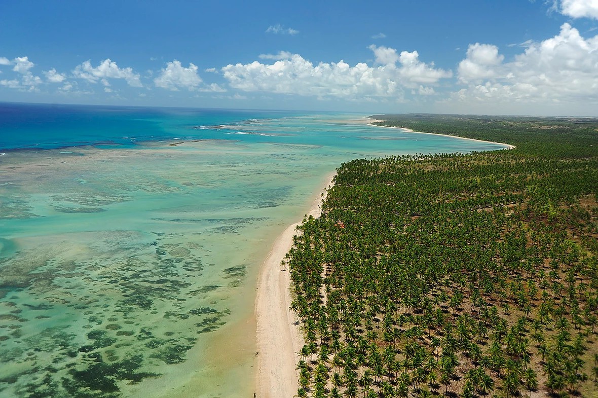 Costa dos Corais alia preservação ambiental e turismo de experiência no litoral de Alagoas