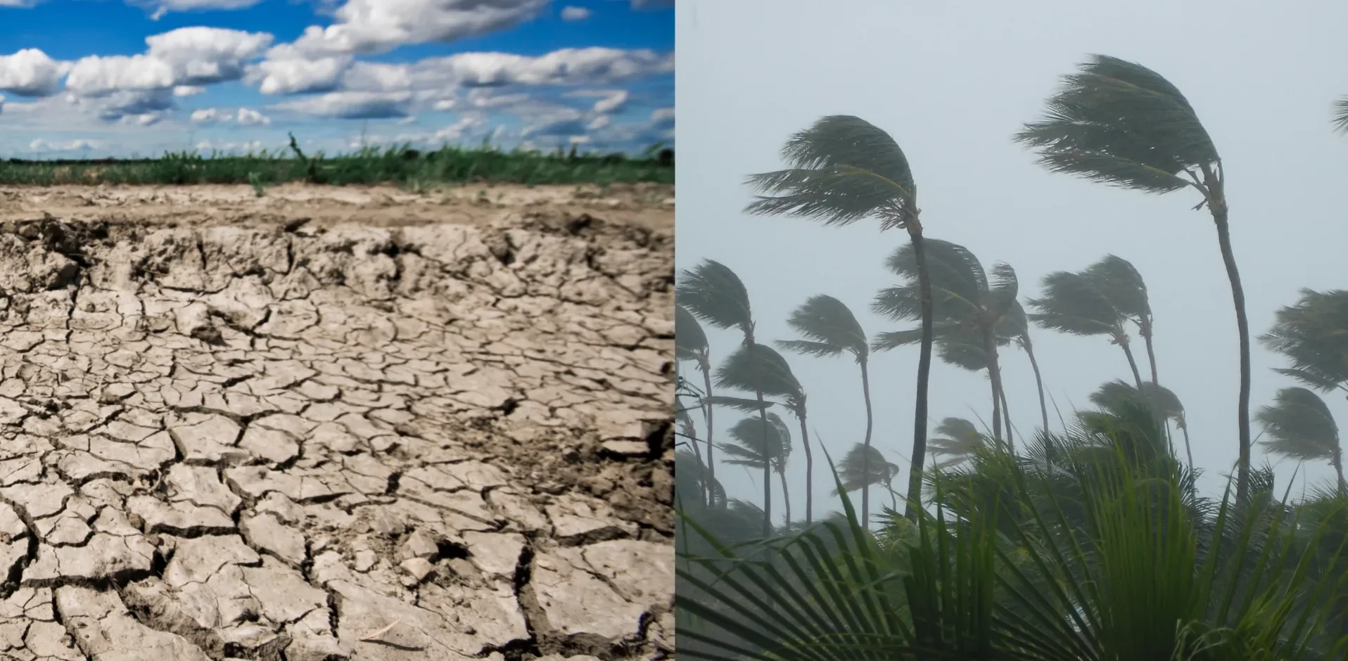 El Niño deve ganhar força e aumentar risco de secas e calor em escala global