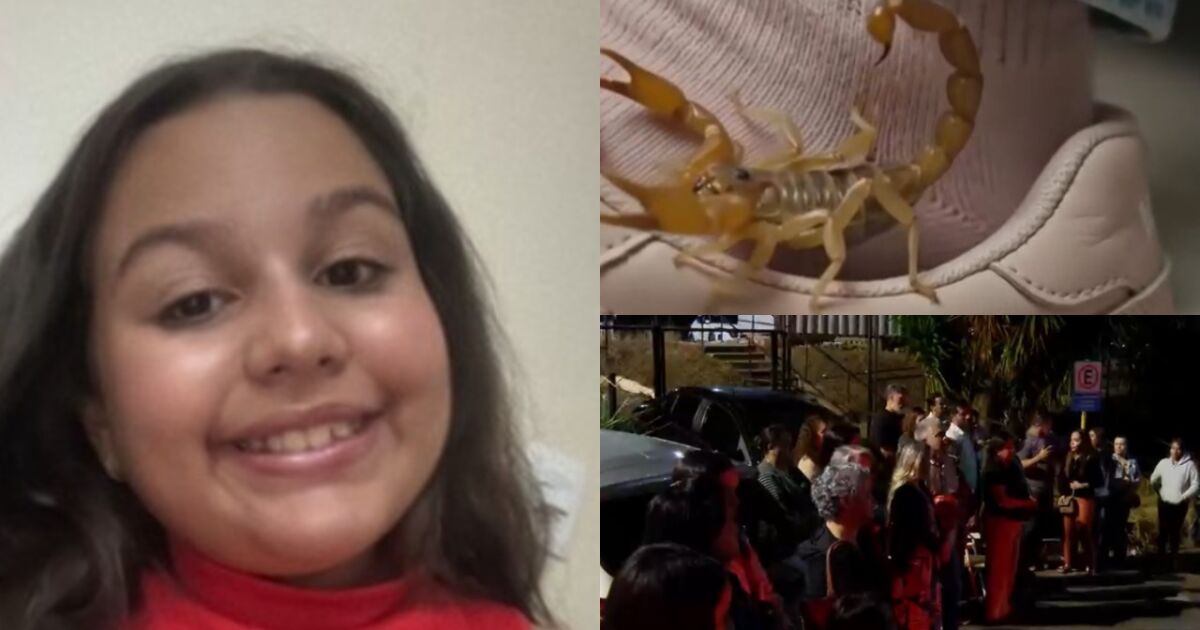 Menina de 11 anos morre após picada de escorpião no Distrito Federal