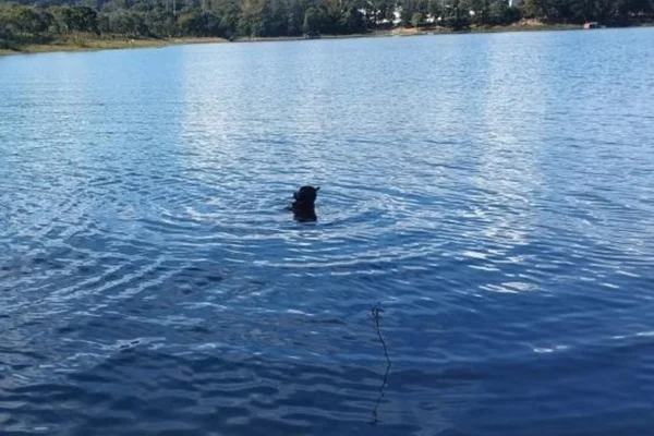 Adolescente e mulher morrem afogados no Lago Corumbá em Caldas Novas