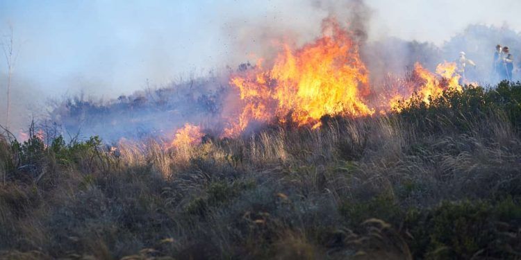 Estiagem leva Goiás a decretar emergência ambiental por risco de incêndios florestais