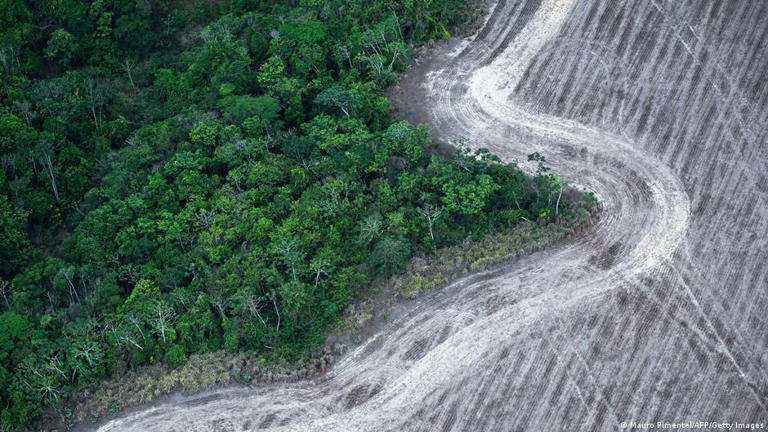 Amazônia registra menor área de desmate desde 2015, diz Inpe